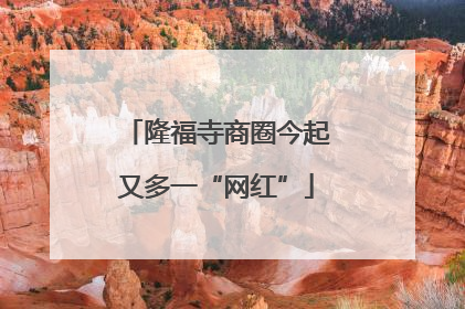 隆福寺商圈今起又多一“网红”