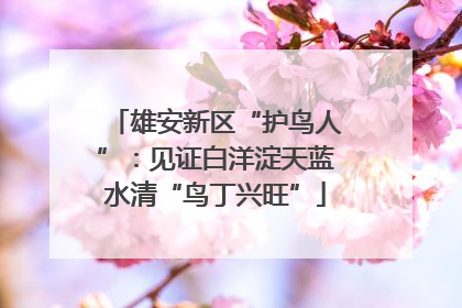 雄安新区“护鸟人”：见证白洋淀天蓝水清“鸟丁兴旺”