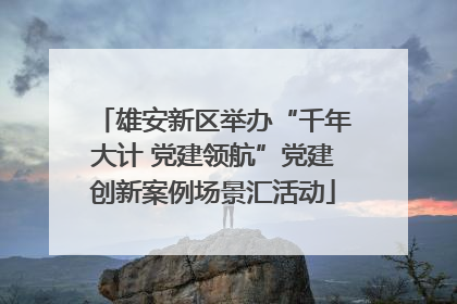 雄安新区举办“千年大计 党建领航”党建创新案例场景汇活动