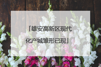 雄安高新区现代化产城雏形已现