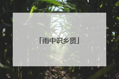 雨中识乡贤