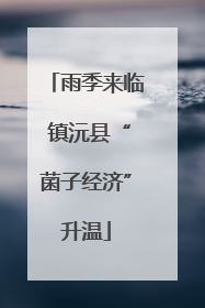 雨季来临 镇沅县“菌子经济”升温