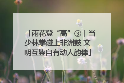 雨花登“高”③｜当少林拳碰上非洲鼓 文明互鉴自有动人韵律