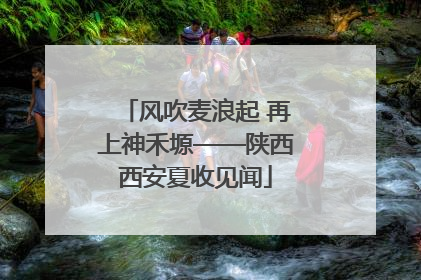 风吹麦浪起 再上神禾塬——陕西西安夏收见闻