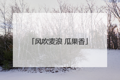 风吹麦浪 瓜果香