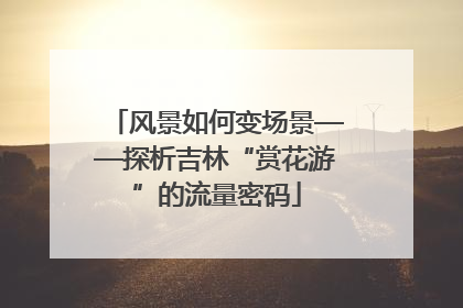 风景如何变场景——探析吉林“赏花游”的流量密码