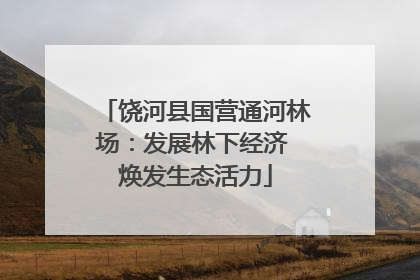 饶河县国营通河林场：发展林下经济 焕发生态活力