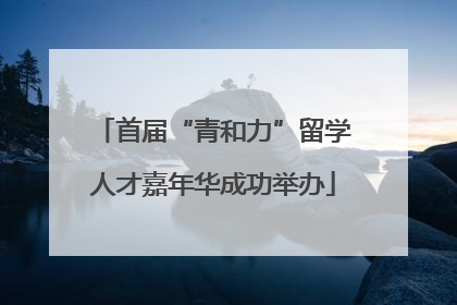 首届“青和力”留学人才嘉年华成功举办