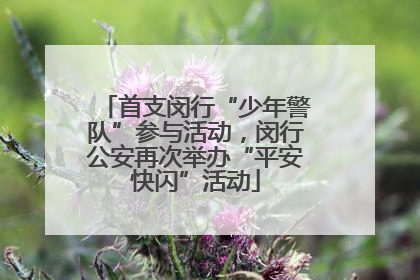 首支闵行“少年警队”参与活动，闵行公安再次举办“平安快闪”活动