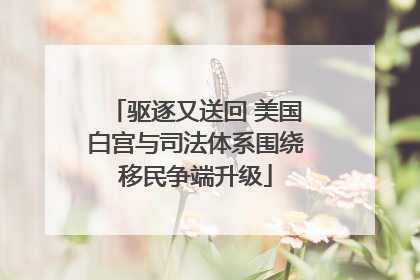驱逐又送回 美国白宫与司法体系围绕移民争端升级