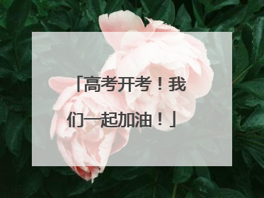 高考开考！我们一起加油！