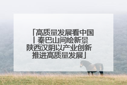 高质量发展看中国丨秦巴山间绘新景 陕西汉阴以产业创新推进高质量发展