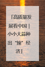 高质量发展看中国｜小小大蒜种出“辣”经济