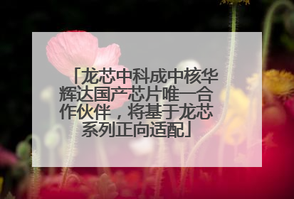 龙芯中科成中核华辉达国产芯片唯一合作伙伴，将基于龙芯系列正向适配