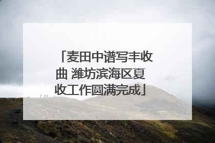 麦田中谱写丰收曲 潍坊滨海区夏收工作圆满完成
