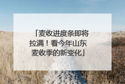 麦收进度条即将拉满！看今年山东麦收季的新变化