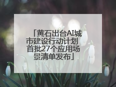 黄石出台AI城市建设行动计划 首批27个应用场景清单发布