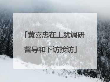 黄喜忠在上犹调研督导和下访接访