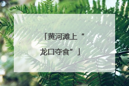 黄河滩上“龙口夺食”