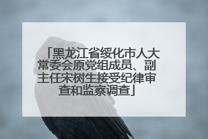 黑龙江省绥化市人大常委会原党组成员、副主任宋树生接受纪律审查和监察调查