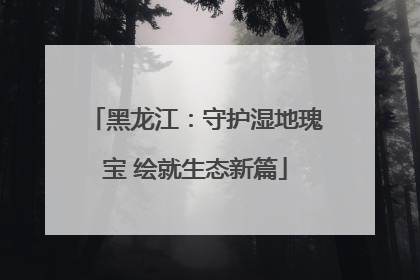 黑龙江：守护湿地瑰宝 绘就生态新篇