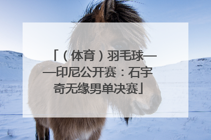 （体育）羽毛球——印尼公开赛：石宇奇无缘男单决赛