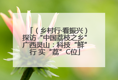 （乡村行·看振兴）探访“中国荔枝之乡”广西灵山：科技“鲜”行 实“荔”C位