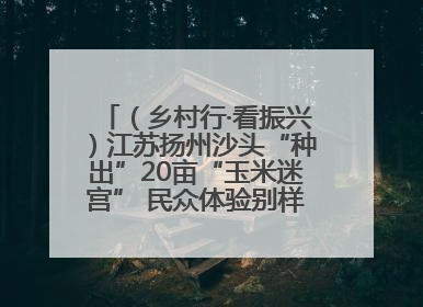 （乡村行·看振兴）江苏扬州沙头“种出”20亩“玉米迷宫” 民众体验别样“田园乐趣”