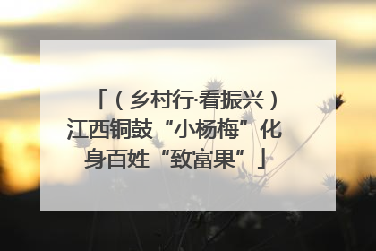 （乡村行·看振兴）江西铜鼓“小杨梅”化身百姓“致富果”