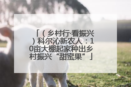 （乡村行·看振兴）科尔沁新农人：10亩大棚起家种出乡村振兴“甜蜜果”