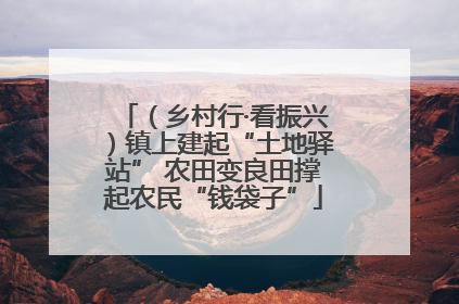 （乡村行·看振兴）镇上建起“土地驿站” 农田变良田撑起农民“钱袋子”