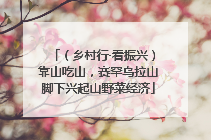 （乡村行·看振兴）靠山吃山，赛罕乌拉山脚下兴起山野菜经济