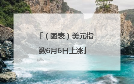 （图表）美元指数6月6日上涨