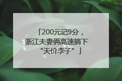 200元记9分，浙江夫妻俩高速摘下“天价李子”