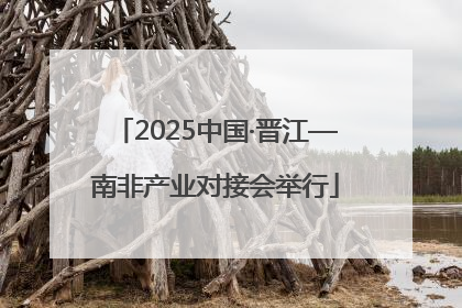 2025中国·晋江—南非产业对接会举行