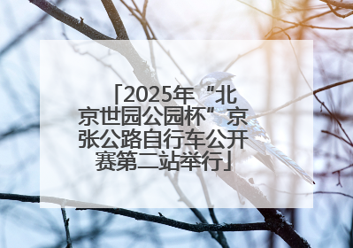 2025年“北京世园公园杯”京张公路自行车公开赛第二站举行