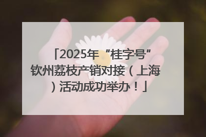 2025年“桂字号”钦州荔枝产销对接（上海）活动成功举办！