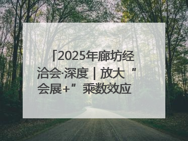 2025年廊坊经洽会·深度｜放大“会展+”乘数效应 打造消费新场景