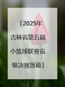 2025年吉林省第五届小篮球联赛省级决赛落幕