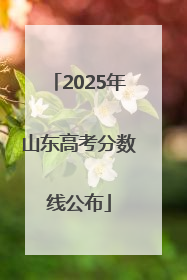2025年山东高考分数线公布