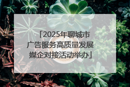 2025年聊城市广告服务高质量发展媒企对接活动举办