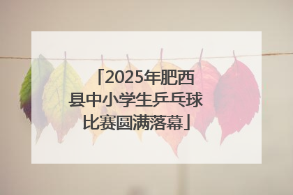 2025年肥西县中小学生乒乓球比赛圆满落幕