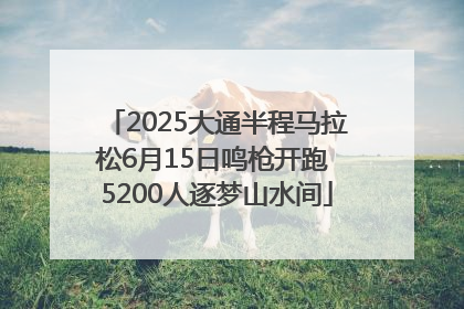 2025大通半程马拉松6月15日鸣枪开跑 5200人逐梦山水间