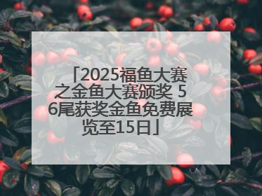 2025福鱼大赛之金鱼大赛颁奖 56尾获奖金鱼免费展览至15日