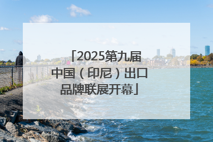 2025第九届中国（印尼）出口品牌联展开幕