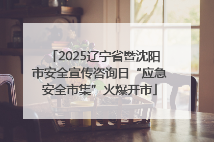 2025辽宁省暨沈阳市安全宣传咨询日“应急安全市集”火爆开市