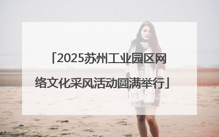 2025苏州工业园区网络文化采风活动圆满举行