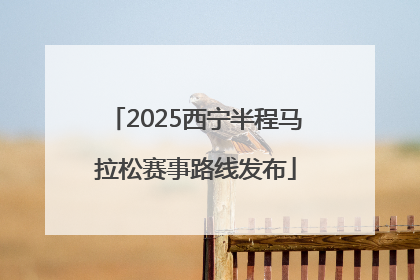 2025西宁半程马拉松赛事路线发布