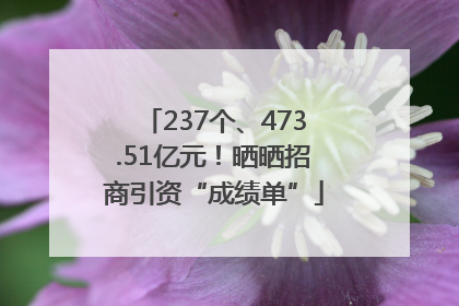 237个、473.51亿元！晒晒招商引资“成绩单”