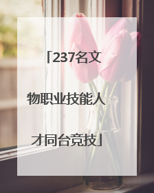 237名文物职业技能人才同台竞技